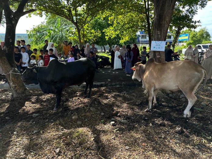 Penyembelihan hewan kurban di Gampong Lambung, Kecamatan Meuraxa, Kota Banda Aceh, Aceh, pada Kamis (29/6/2023).