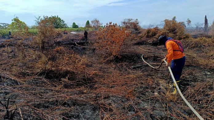 Kebakaran hutan dan lahan melanda 1,5 hektare lahan di Gampong Lapang, Kecamatan Johan Pahlawan, Aceh Barat, sejak Senin (12/2/2024) lalu.