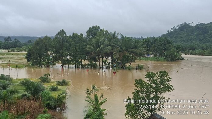 Banjir Genangi 25 Hektare Sawah di Dusun Napa Silak, Petani Terancam Gagal Panen