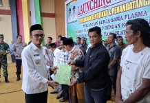 Launching Plasma di Subulussalam, 414 Sertifikat Diserahkan ke Masyarakat Pekebun Launching Plasma di Subulussalam, 414 Sertifikat Diserahkan ke Masyarakat Pekebun