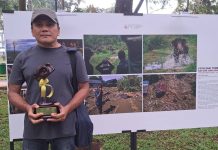 Chaideer Mahyuddin Raih APFI 2026 Chaideer Mahyuddin Raih APFI 2026