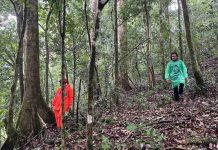 Tim SAR Sisir Gunung Seulawah Cari Pendaki Asal Aceh Utara yang Hilang Tim SAR Sisir Gunung Seulawah Cari Pendaki Asal Aceh Utara yang Hilang