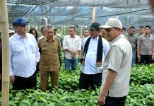Didampingi Wagub Aceh, Mentan Pastikan Dukungan Pengembangan Kopi Gayo Didampingi Wagub Aceh, Mentan Pastikan Dukungan Pengembangan Kopi Gayo