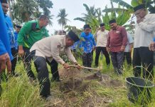 Peringati Harlah ke-7, Penghulu Aceh Tanam 933 Pohon