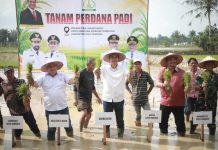 Sekda Aceh Resmikan Tanam Padi Perdana Pascabencana, 57 Ribu Hektare Sawah Mulai Dipulihkan Sekda Aceh Resmikan Tanam Padi Perdana Pascabencana, 57 Ribu Hektare Sawah Mulai Dipulihkan