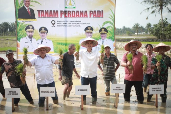 Sekda Aceh Resmikan Tanam Padi Perdana Pascabencana, 57 Ribu Hektare Sawah Mulai Dipulihkan